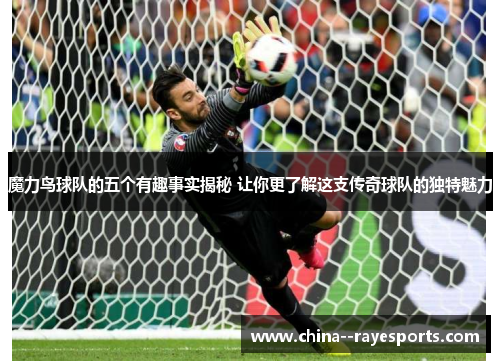 魔力鸟球队的五个有趣事实揭秘 让你更了解这支传奇球队的独特魅力 魔力鸟球队的五个有趣事实揭秘 让你更了解这支传奇球队的独特魅力