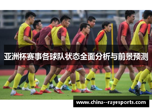 亚洲杯赛事各球队状态全面分析与前景预测