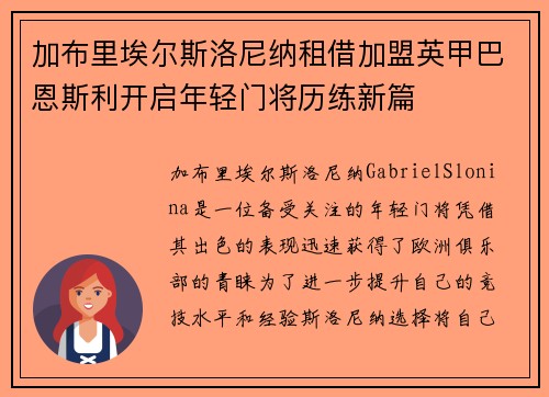 加布里埃尔斯洛尼纳租借加盟英甲巴恩斯利开启年轻门将历练新篇